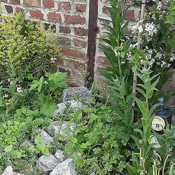 Ostgarten